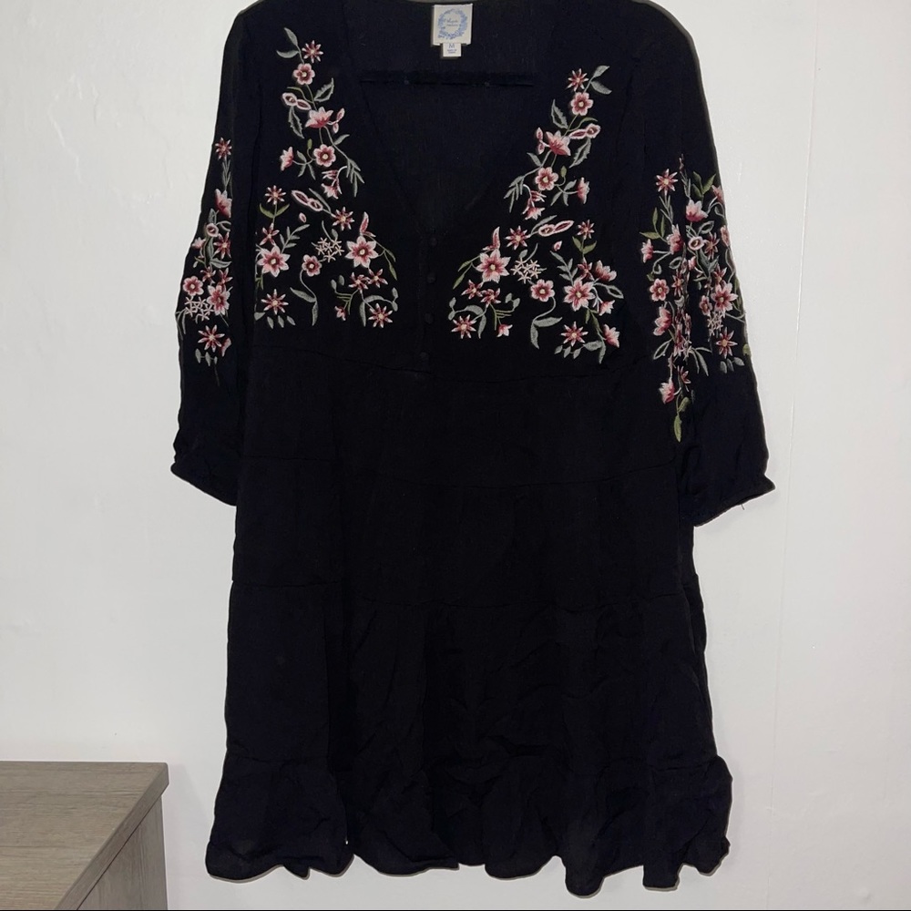 Francesca’s embroidered v neck swing dress